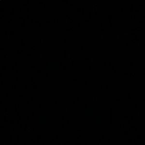 Meet your Posher, Roni